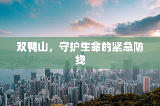 双鸭山，守护生命的紧急防线