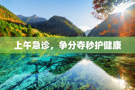 上午急诊，争分夺秒护健康