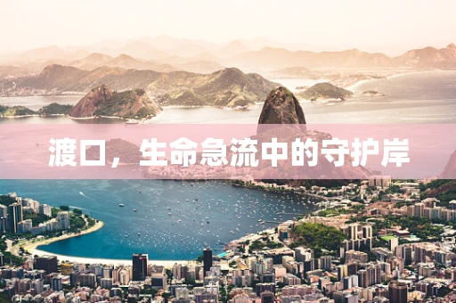 渡口，生命急流中的守护岸