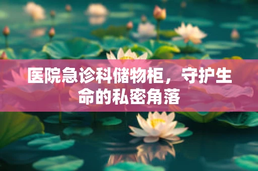 医院急诊科储物柜，守护生命的私密角落