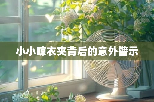 小小晾衣夹背后的意外警示