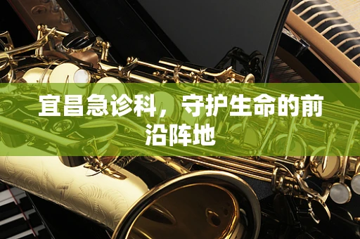 宜昌急诊科，守护生命的前沿阵地