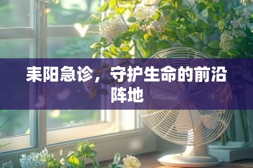 耒阳急诊，守护生命的前沿阵地