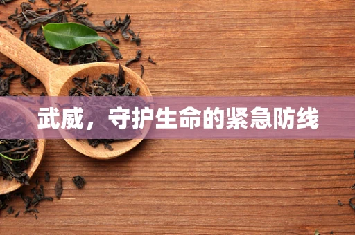 武威，守护生命的紧急防线