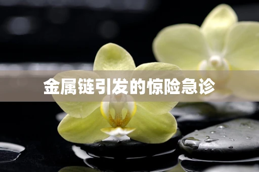 金属链引发的惊险急诊