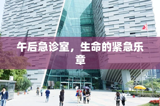 午后急诊室，生命的紧急乐章