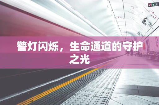 警灯闪烁，生命通道的守护之光