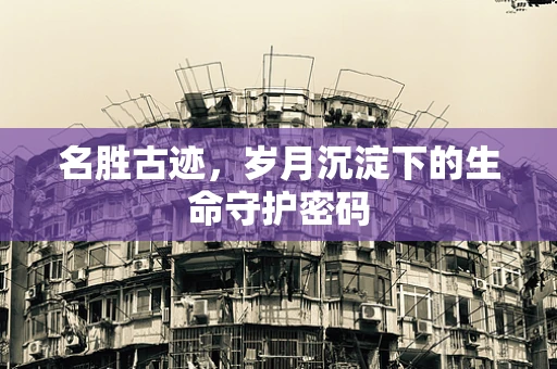 名胜古迹，岁月沉淀下的生命守护密码