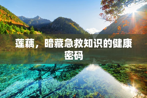 莲藕，暗藏急救知识的健康密码