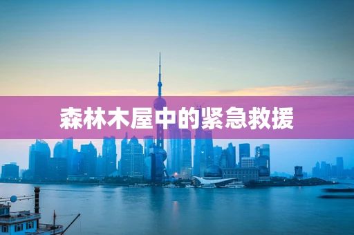 森林木屋中的紧急救援
