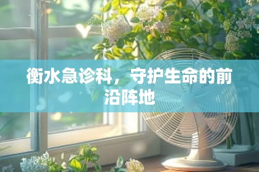 衡水急诊科，守护生命的前沿阵地