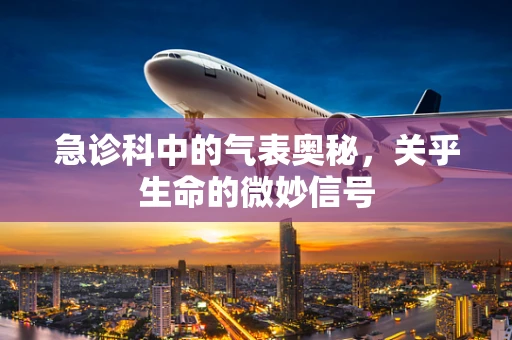 急诊科中的气表奥秘，关乎生命的微妙信号
