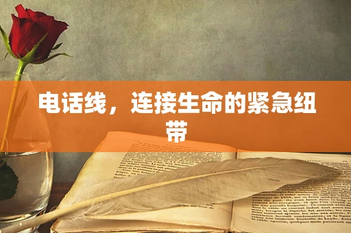 电话线，连接生命的紧急纽带