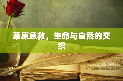草原急救，生命与自然的交织