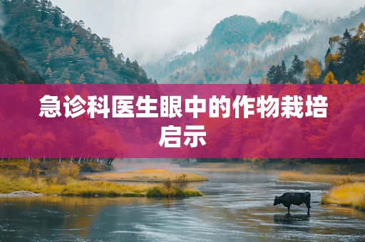 急诊科医生眼中的作物栽培启示