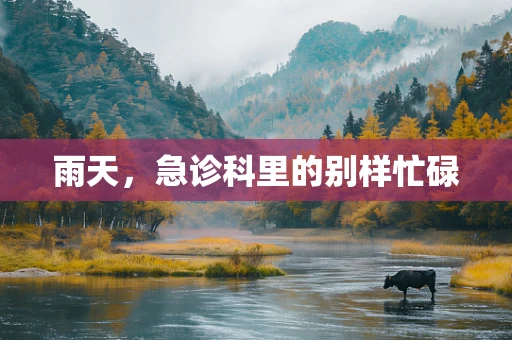 雨天，急诊科里的别样忙碌