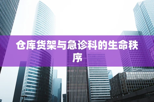 仓库货架与急诊科的生命秩序