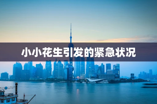 小小花生引发的紧急状况