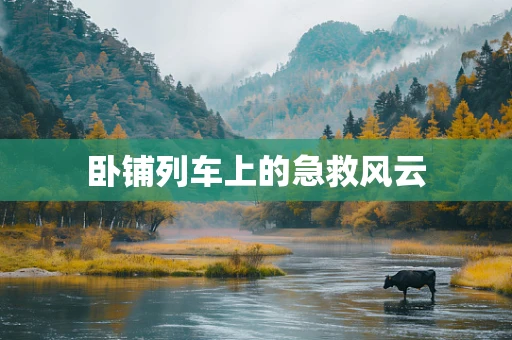 卧铺列车上的急救风云