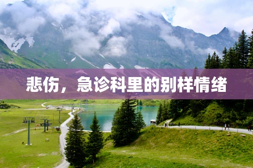 悲伤，急诊科里的别样情绪