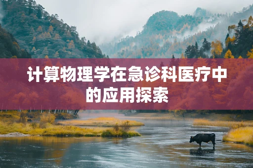 计算物理学在急诊科医疗中的应用探索