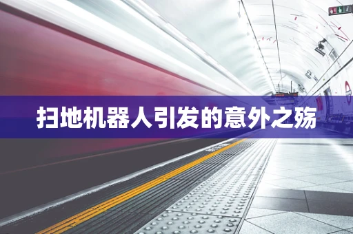 扫地机器人引发的意外之殇