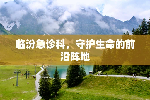 临汾急诊科，守护生命的前沿阵地