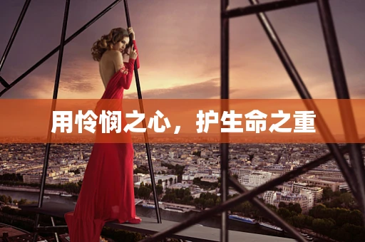 用怜悯之心，护生命之重