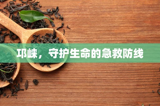 邛崃，守护生命的急救防线