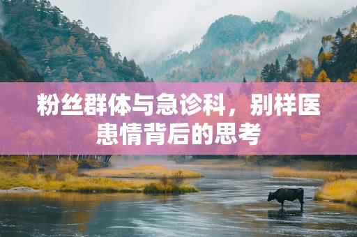 粉丝群体与急诊科，别样医患情背后的思考