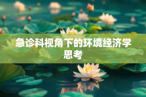 急诊科视角下的环境经济学思考