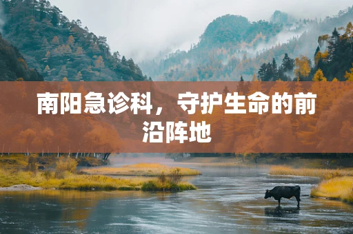 南阳急诊科，守护生命的前沿阵地