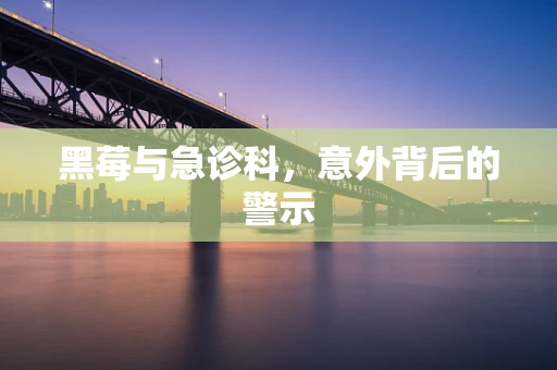 黑莓与急诊科，意外背后的警示