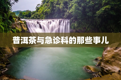 普洱茶与急诊科的那些事儿