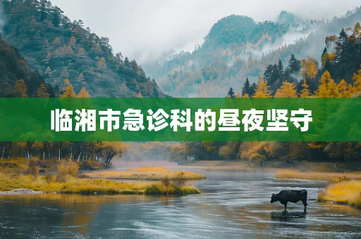 临湘市急诊科的昼夜坚守