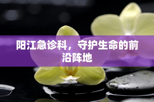 阳江急诊科，守护生命的前沿阵地