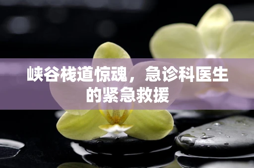峡谷栈道惊魂，急诊科医生的紧急救援