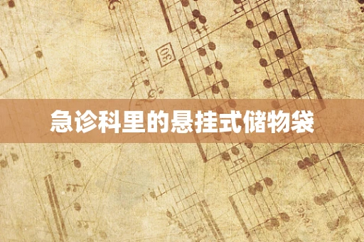 急诊科里的悬挂式储物袋