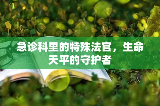 急诊科里的特殊法官，生命天平的守护者