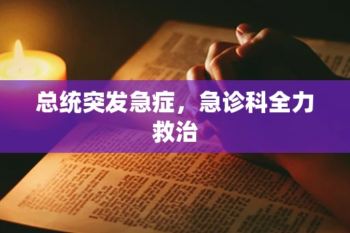 总统突发急症，急诊科全力救治