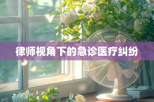 律师视角下的急诊医疗纠纷