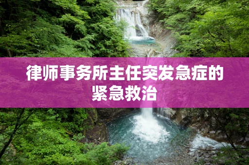 律师事务所主任突发急症的紧急救治