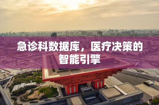 急诊科数据库，医疗决策的智能引擎